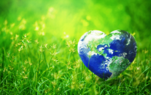 Celebrating Earth Sunday graphic for Holy Covenant United Church of Christ, promoting environmental justice, creation care, and faithful stewardship in Charlotte, NC.