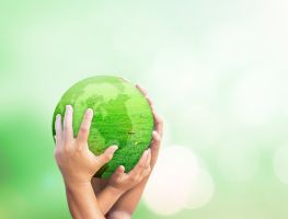 Holy Covenant UCC Missions and Justice ministry image symbolizing faith in action through outreach, advocacy, and community engagement in Charlotte, NC.