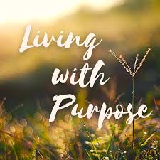 A hand holding a small sign that says 'What's Your Why?' with colorful backgrounds and question marks